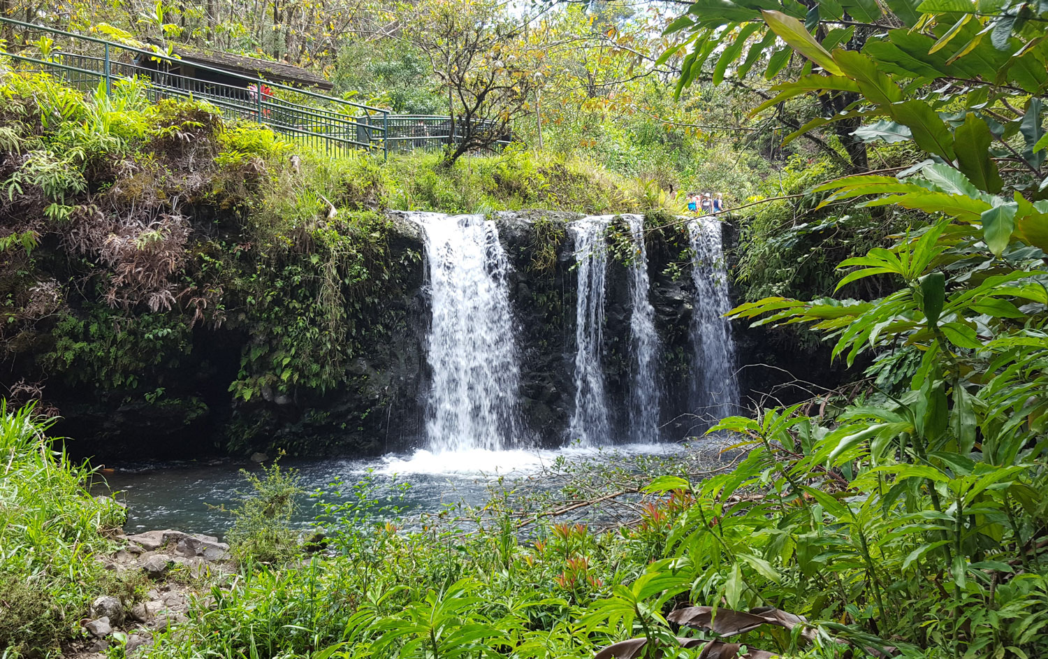 Pua'Ka'a State Wayside Park. One of the best Waterfalls for swimming.